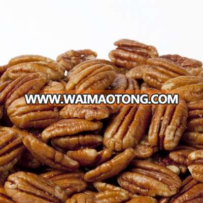 Quality Pecan Nut for Sale (USA/Brazil Origin)